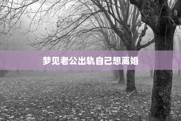 梦见老公出轨自己想离婚