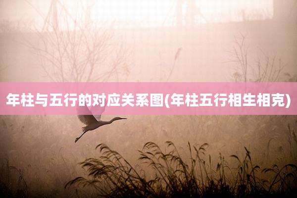 年柱与五行的对应关系图(年柱五行相生相克)