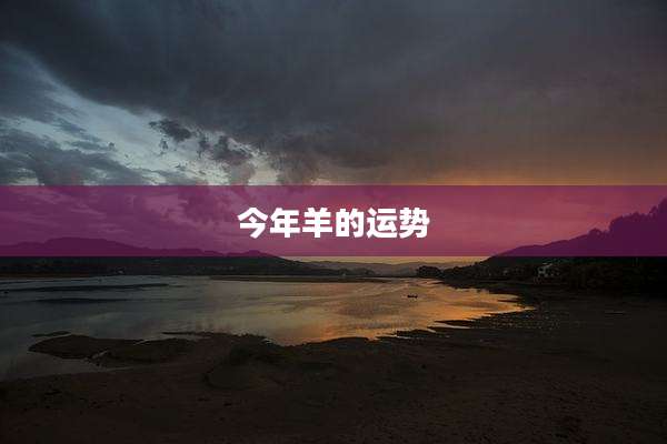 今年羊的运势