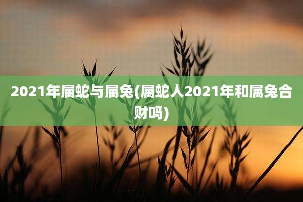 2021年属蛇与属兔(属蛇人2021年和属兔合财吗)