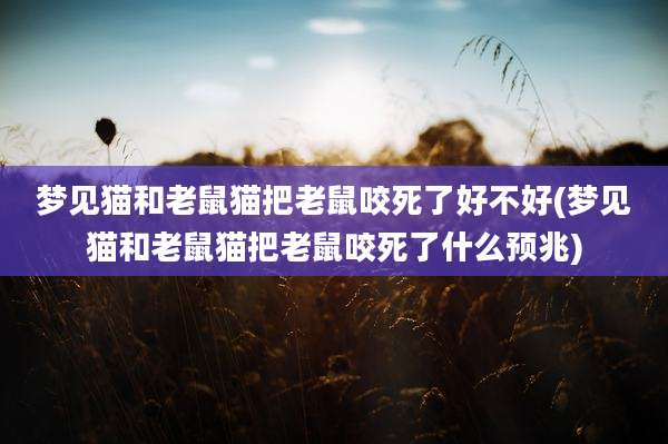 梦见猫和老鼠猫把老鼠咬死了好不好(梦见猫和老鼠猫把老鼠咬死了什么预兆)