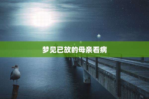 梦见已故的母亲看病
