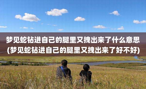 梦见蛇钻进自己的腿里又拽出来了什么意思(梦见蛇钻进自己的腿里又拽出来了好不好)