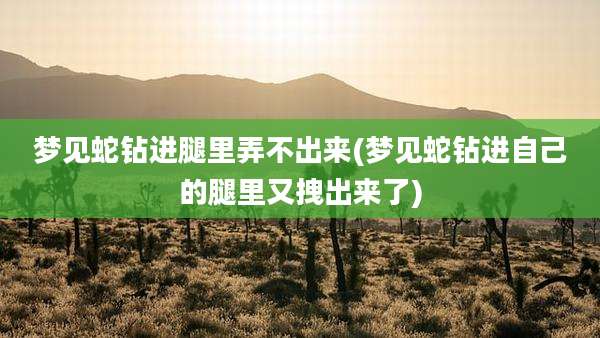 梦见蛇钻进腿里弄不出来(梦见蛇钻进自己的腿里又拽出来了)
