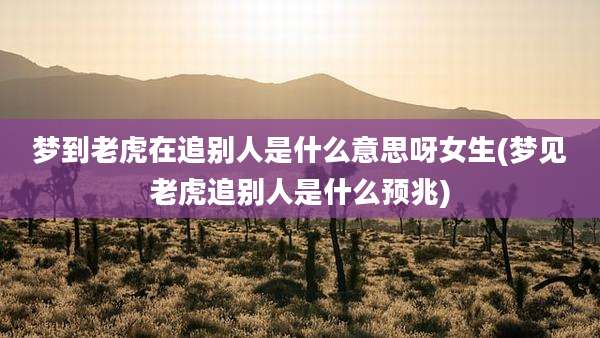 梦到老虎在追别人是什么意思呀女生(梦见老虎追别人是什么预兆)