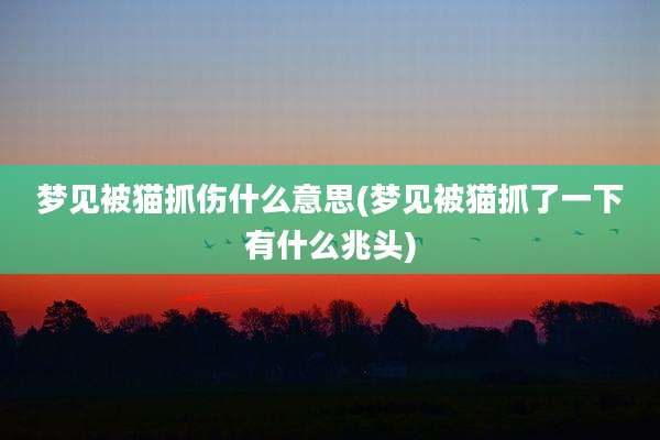 梦见被猫抓伤什么意思(梦见被猫抓了一下有什么兆头)