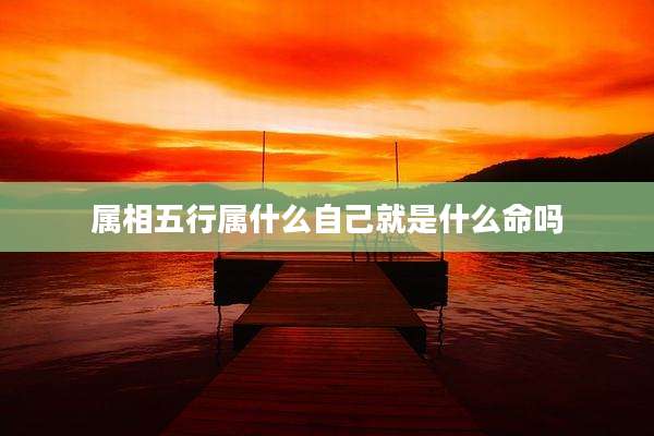 属相五行属什么自己就是什么命吗
