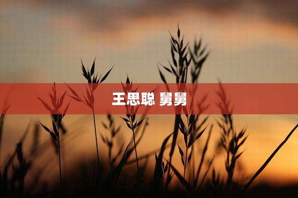 王思聪 舅舅