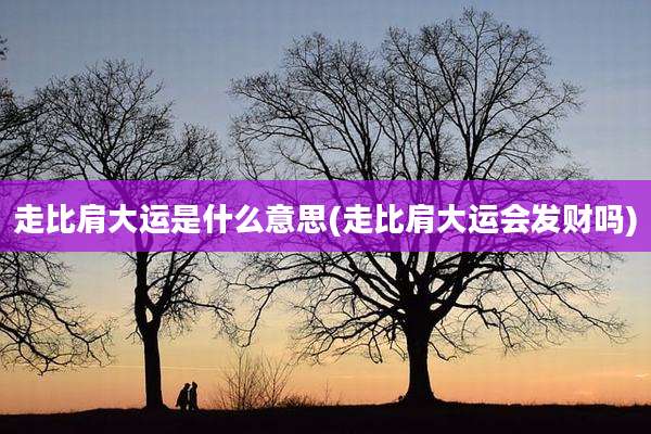 走比肩大运是什么意思(走比肩大运会发财吗)