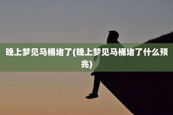 晚上梦见马桶堵了(晚上梦见马桶堵了什么预兆)