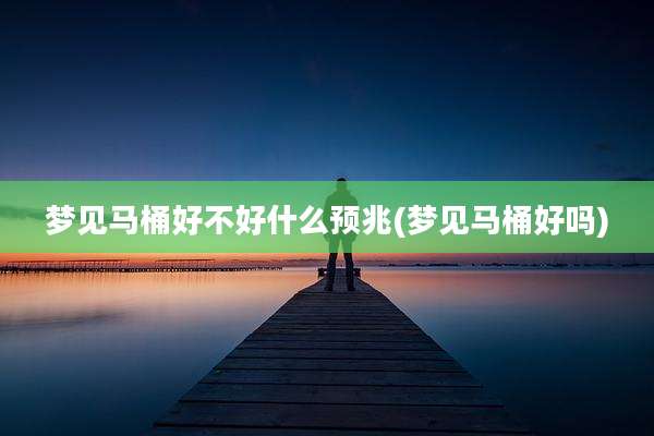 梦见马桶好不好什么预兆(梦见马桶好吗)