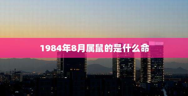 1984年8月属鼠的是什么命