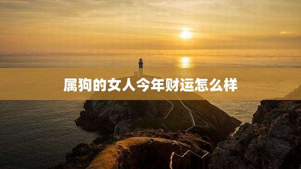 属狗的女人今年财运怎么样