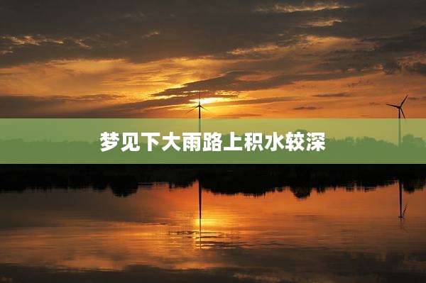 梦见下大雨路上积水较深