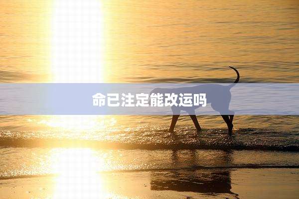 命已注定能改运吗