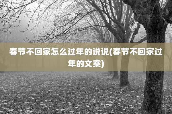 春节不回家怎么过年的说说(春节不回家过年的文案)