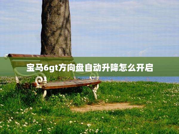 宝马6gt方向盘自动升降怎么开启