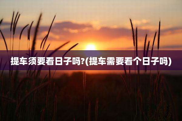 提车须要看日子吗?(提车需要看个日子吗)