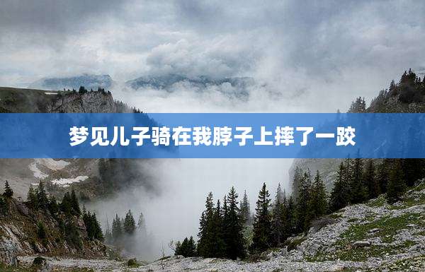 梦见儿子骑在我脖子上摔了一跤