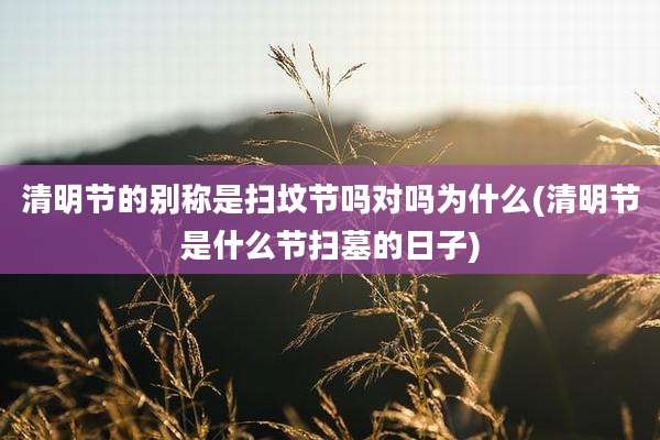 清明节的别称是扫坟节吗对吗为什么(清明节是什么节扫墓的日子)