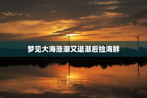 梦见大海涨潮又退潮后捡海鲜