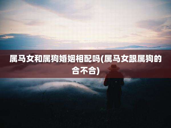 属马女和属狗婚姻相配吗(属马女跟属狗的合不合)
