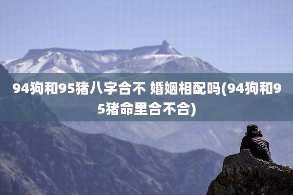 94狗和95猪八字合不 婚姻相配吗(94狗和95猪命里合不合)