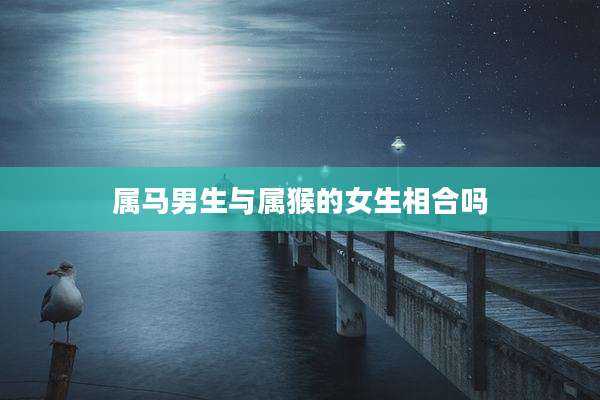 属马男生与属猴的女生相合吗