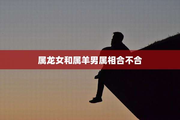 属龙女和属羊男属相合不合