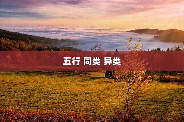 五行 同类 异类