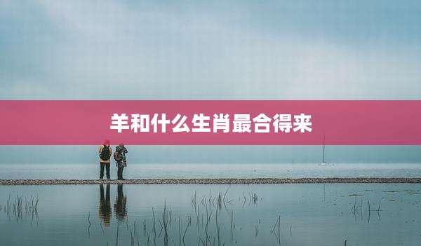 羊和什么生肖最合得来