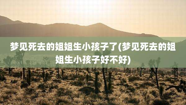 梦见死去的姐姐生小孩子了(梦见死去的姐姐生小孩子好不好)