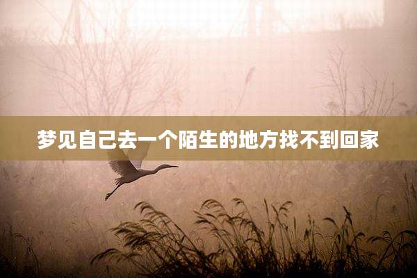 梦见自己去一个陌生的地方找不到回家