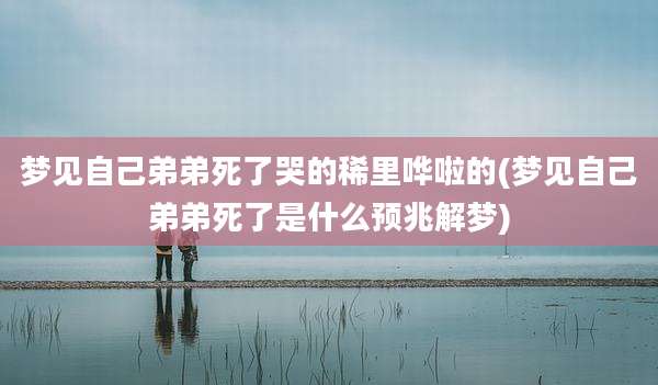 梦见自己弟弟死了哭的稀里哗啦的(梦见自己弟弟死了是什么预兆解梦)