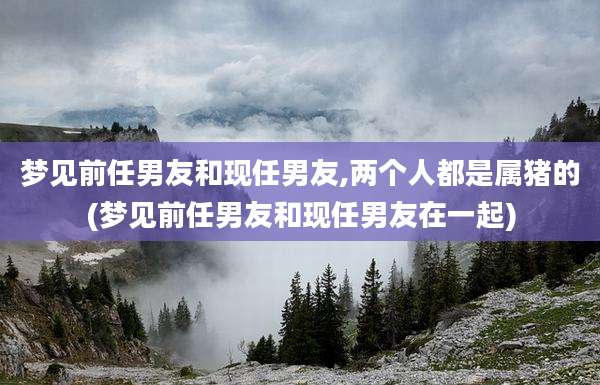 梦见前任男友和现任男友,两个人都是属猪的(梦见前任男友和现任男友在一起)
