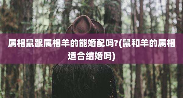 属相鼠跟属相羊的能婚配吗?(鼠和羊的属相适合结婚吗)