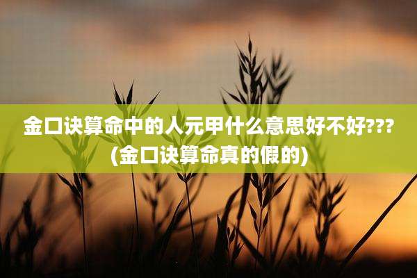 金口诀算命中的人元甲什么意思好不好???(金口诀算命真的假的)