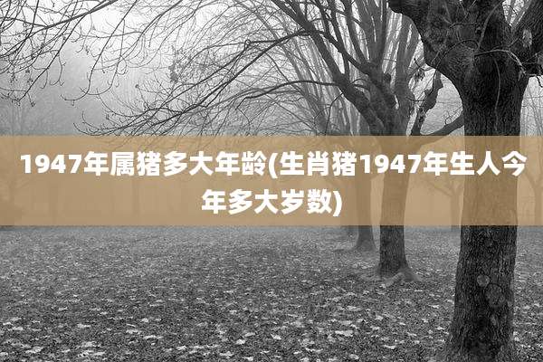 1947年属猪多大年龄(生肖猪1947年生人今年多大岁数)