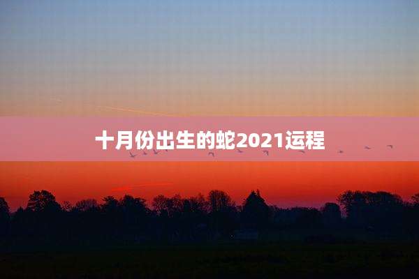 十月份出生的蛇2021运程