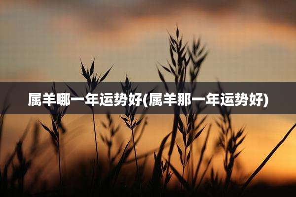 属羊哪一年运势好(属羊那一年运势好)