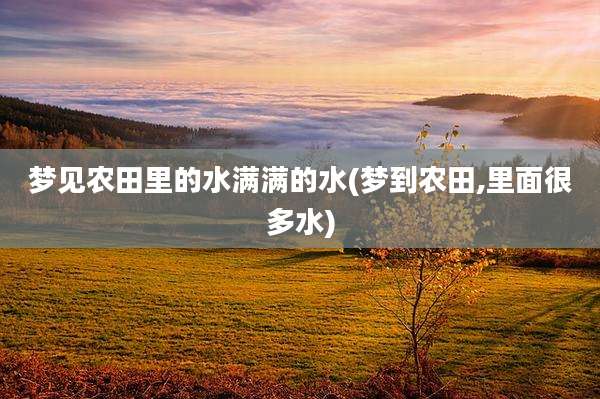 梦见农田里的水满满的水(梦到农田,里面很多水)