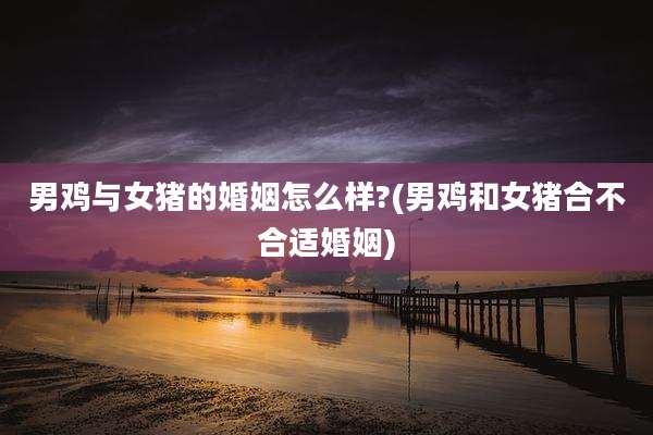 男鸡与女猪的婚姻怎么样?(男鸡和女猪合不合适婚姻)