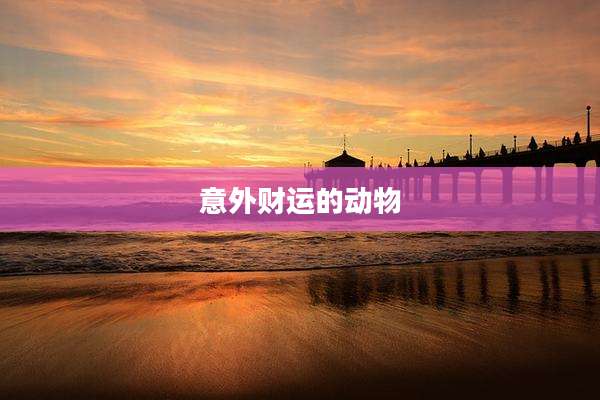 意外财运的动物