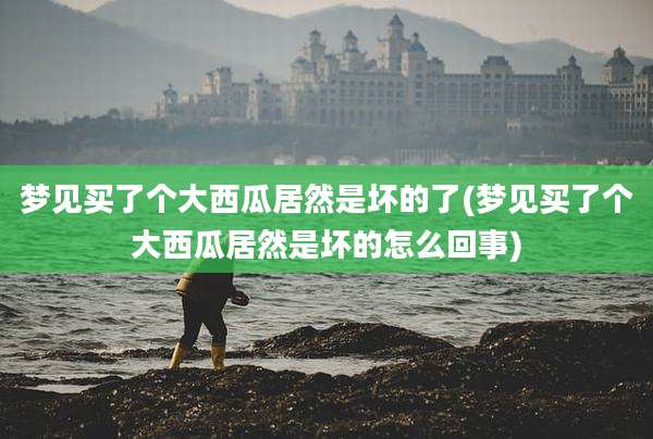 梦见买了个大西瓜居然是坏的了(梦见买了个大西瓜居然是坏的怎么回事)