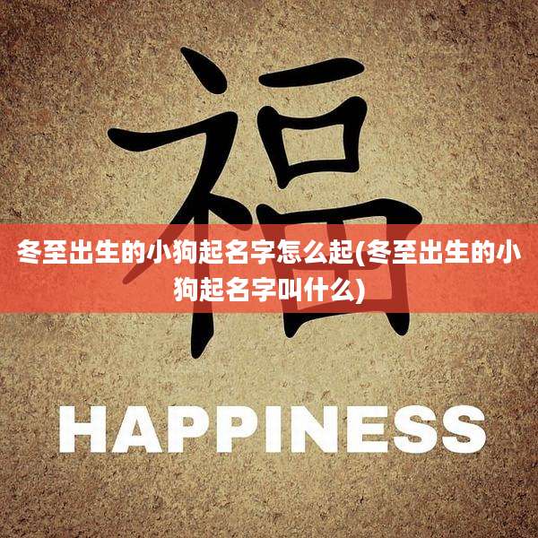 冬至出生的小狗起名字怎么起(冬至出生的小狗起名字叫什么)