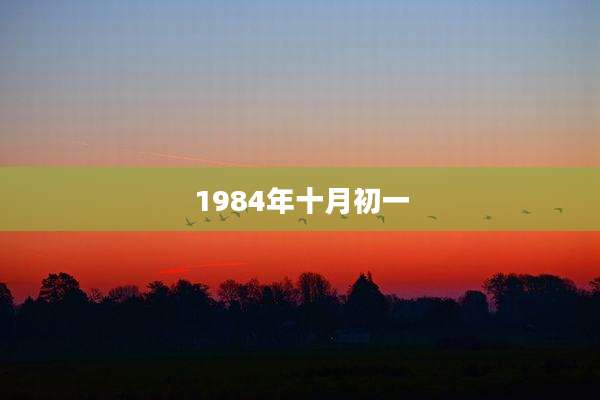 1984年十月初一