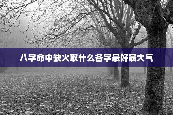 八字命中缺火取什么各字最好最大气