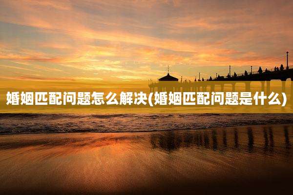 婚姻匹配问题怎么解决(婚姻匹配问题是什么)