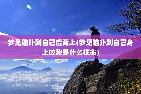 梦见猫扑到自己后背上(梦见猫扑到自己身上咬我是什么征兆)
