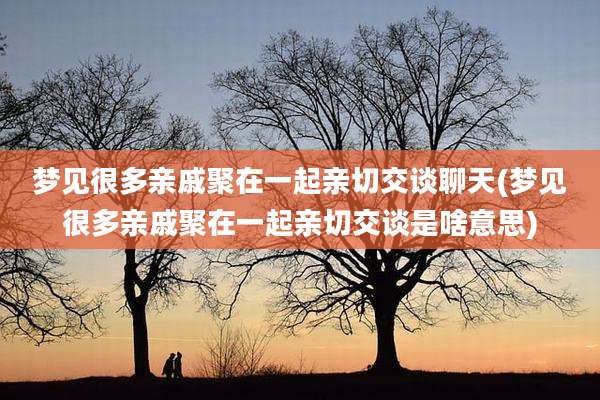 梦见很多亲戚聚在一起亲切交谈聊天(梦见很多亲戚聚在一起亲切交谈是啥意思)